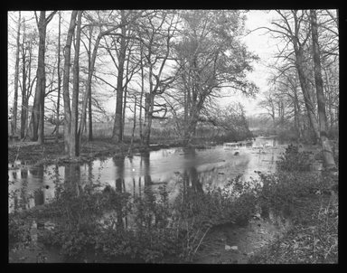 <em>"Views: Brooklyn. Various. View 011: On Paerdegat Creek, Flatbush."</em>, 1898. Lantern slide 3.25x4in, 3.25 x 4 in. Brooklyn Museum, CHART_2011. (Photo: Charles H. Morse, S10_12_Brooklyn_Various011.jpg