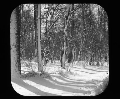 <em>"Views: U.S., Brooklyn. Brooklyn, Prospect Park. View 003: Snowscene."</em>. Lantern slide 3.25x4in, 3.25 x 4 in. Brooklyn Museum, CHART_2011. (S10_21_US_Brooklyn_Brooklyn_Prospect_Park003.jpg