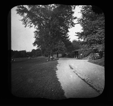 <em>"Views: U.S., Brooklyn. Brooklyn, Prospect Park. View 013: Elm. Long Meadow."</em>. Lantern slide 3.25x4in, 3.25 x 4 in. Brooklyn Museum, CHART_2011. (Photo: Gould W. Hart, S10_21_US_Brooklyn_Brooklyn_Prospect_Park013.jpg