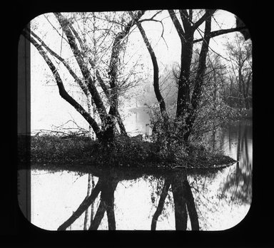 <em>"Views: U.S., Brooklyn. Brooklyn, Prospect Park. View 016: Willows (alt. view)."</em>. Lantern slide 3.25x4in, 3.25 x 4 in. Brooklyn Museum, CHART_2011. (Photo: Gould W. Hart, S10_21_US_Brooklyn_Brooklyn_Prospect_Park016.jpg