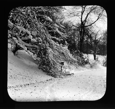 <em>"Views: U.S., Brooklyn. Brooklyn, Prospect Park. View 031: Winter."</em>, 1898. Lantern slide 3.25x4in, 3.25 x 4 in. Brooklyn Museum, CHART_2011. (Photo: Starks W. Lewis, S10_21_US_Brooklyn_Brooklyn_Prospect_Park031.jpg
