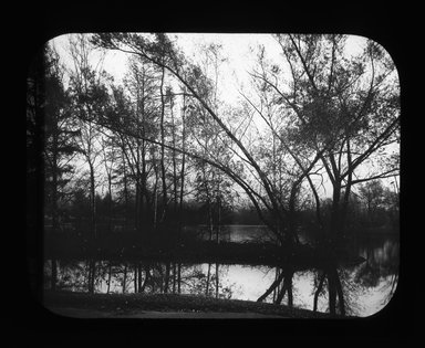 <em>"Views: U.S., Brooklyn. Brooklyn, Prospect Park. View 050: Willows (One Autumn afternoon)."</em>. Lantern slide 3.25x4in, 3.25 x 4 in. Brooklyn Museum, CHART_2011. (S10_21_US_Brooklyn_Brooklyn_Prospect_Park050.jpg