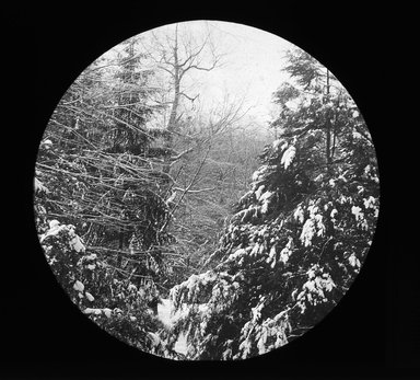 <em>"Views: U.S., Brooklyn. Brooklyn, Prospect Park. View 059: Snowscene."</em>. Lantern slide 3.25x4in, 3.25 x 4 in. Brooklyn Museum, CHART_2011. (Photo: Gould W. Hart, S10_21_US_Brooklyn_Brooklyn_Prospect_Park059.jpg