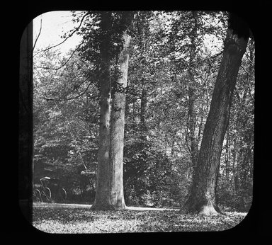 <em>"Views: U.S., Brooklyn. Brooklyn, Prospect Park. View 072: Chestnut."</em>. Lantern slide 3.25x4in, 3.25 x 4 in. Brooklyn Museum, CHART_2011. (Photo: Gould W. Hart, S10_21_US_Brooklyn_Brooklyn_Prospect_Park072.jpg