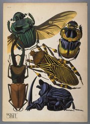 <em>"Plate 15: Phaneus conspicillatus, BRÉSIL; Phanoeus imperator, ARGENTINE; Cyclommatus tarandus, BORNEO; Pachilis gigas, MEXIQUE; Phanoeus ensifer, GUYANE"</em>. Printed illustration. Brooklyn Museum. (NK1553_Se3_Seguy_Insectes_pl15_SL1.jpg