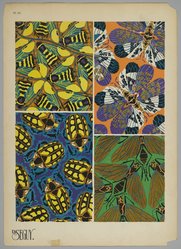 <em>"Plate 20: untitled designs"</em>. Printed illustration. Brooklyn Museum. (NK1553_Se3_Seguy_Insectes_pl20_PS2.jpg