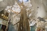 Swoon: Submerged Motherlands