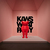 KAWS: WHAT PARTY, Friday, February 26, 2021 through Sunday, September 5, 2021 (Image: DIG_01_KAWS_2_16_2021_0165.jpg Photo: Michael Biondo photograph, 2021)