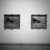 Monet and the Mediterranean, October 10, 1997 through January 4, 1998 (Image: PHO_E1997i069.jpg Brooklyn Museum. Justin van Soest,er photograph, 1997)