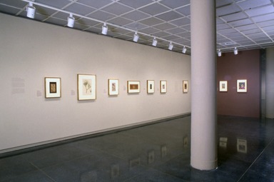 Realms of Heroism: Indian Paintings in the Brooklyn Museum, October 14, 1994 through January 08, 1995 (Image: ASI_E1994i001.jpg Brooklyn Museum photograph, 1994)