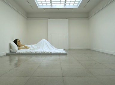 Ron Mueck, November 3, 2006 through February 4, 2007 (Image: DIG_E2006_Mueck_01_PS2.jpg Brooklyn Museum photograph, 2006)