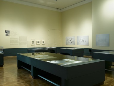 From the Village to Vogue: The Modernist Jewelry of Art Smith. [05/14/2008 - 06/19/2011]. Installation view.