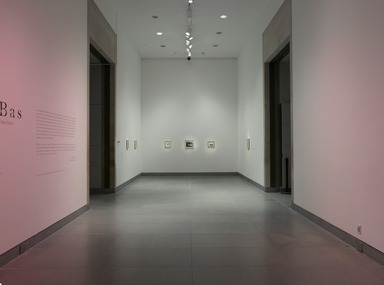 Hernan Bas: Works from the Rubell Family Collection. [02/27/2009-05/24/2009]. Installation view.