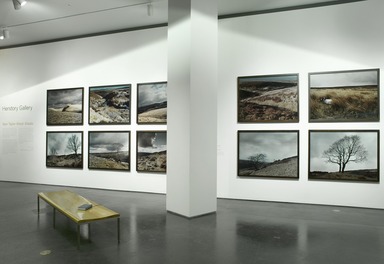 Sam Taylor-Wood: 'Ghosts'. [10/30/2010-08/14/2011]. Installation view.