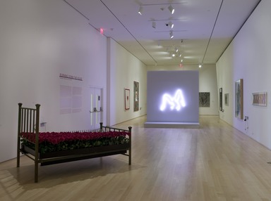 Burning Down the House: Building a Feminist Art Collection, October 31, 2008 through April 05, 2009 (Image: DIG_E_2008_Burning_Down_the_House_02_Christine_Gant_PS2.jpg Brooklyn Museum photograph, 2008)