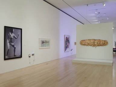 Burning Down the House: Building a Feminist Art Collection, October 31, 2008 through April 05, 2009 (Image: DIG_E_2008_Burning_Down_the_House_06_Christine_Gant_PS2.jpg Brooklyn Museum photograph, 2008)