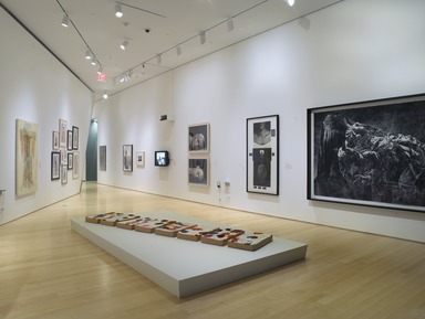 Burning Down the House: Building a Feminist Art Collection, October 31, 2008 through April 05, 2009 (Image: DIG_E_2008_Burning_Down_the_House_09_Christine_Gant_PS2.jpg Brooklyn Museum photograph, 2008)