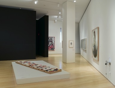 Burning Down the House: Building a Feminist Art Collection, October 31, 2008 through April 05, 2009 (Image: DIG_E_2008_Burning_Down_the_House_10_Christine_Gant_PS2.jpg Brooklyn Museum photograph, 2008)