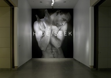 HIDE/SEEK: Difference and Desire in American Portraiture. [11/18/2011-02/12/2012]. Installation view.