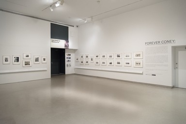 Forever Coney: Photographs from the Brooklyn Museum Collection, November 20, 2015 through March 13, 2016 (Image: DIG_E_2015_Forever_Coney_01_PS11.jpg Brooklyn Museum photograph, 2015)