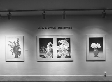 Gary Bukovnik: Floral Monotypes. [10/12/1984 - 12/02/1984]. Installation view.