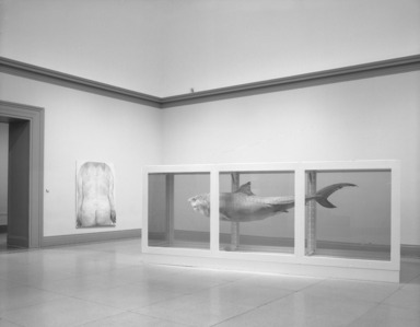 Sensation: Young British Artists from the Saatchi Collection. [10/02/1999 - 01/09/2000]. Installation view.