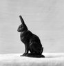 Seated Hare (Li&egrave;vre assis)
