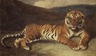 Tiger Reclining (Tigre couch&eacute;)