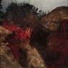 Untitled (Earth Painted Red)