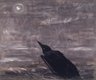 Moon Mad Crow in the Surf