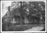 J. C. Vanderveer, Front and Foliage, Flatbush Avenue and Clarendon Road