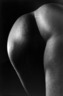 Untitled (Lower Back of Nude Woman)