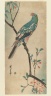 Green Parrot on a branch with red flowers