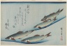 Trout, from an untitled series known as Selection of Fish