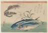 Horse Mackerel, Freshwater Prawns, and Seaweed, from an untitled series known as Selection of Fish