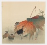 Insects and Autumn Leaves