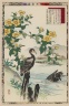 Japanese Rose and Cormorants, from the series Bairei's Picture Album of Birds and Flowers
