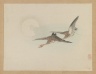 Two Geese Fly by Moon
