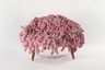 KAWS Chair Pink (Prototype)