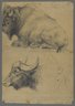 Brahman bulls (recto) and Bison and Head of Water Buffalo (verso)