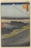 Nihon Embankment, Yoshiwara, No. 100 from One Hundred Famous Views of Edo