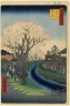 Blossoms on the Tama River Embankment, No. 42 in One Hundred Famous Views of Edo
