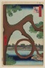 Moon Pine, Ueno, No. 89 from One Hundred Famous Views of Edo