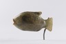 Core-Formed Fish Flask
