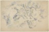 Study of Trees and Rocks; Study of Trees (verso)