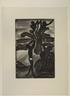 Paysage au palmier, Illustration for R&eacute;incarnations du P&egrave;re Ubu
