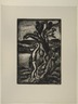 Paysage au palmier (frontispiece), Illustration for R&eacute;incarnations du P&egrave;re Ubu
