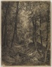 Forest Scene with Rocky Brook