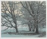 Oak Grove-Winter