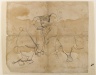 Elephants Fighting